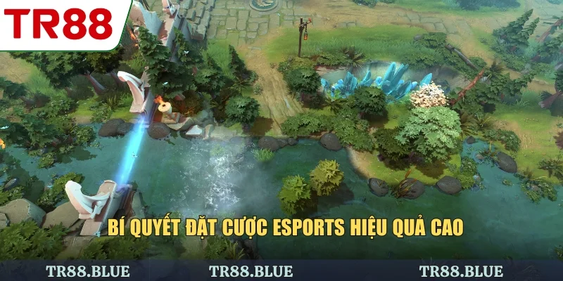 Bí quyết đặt cược esports hiệu quả cao