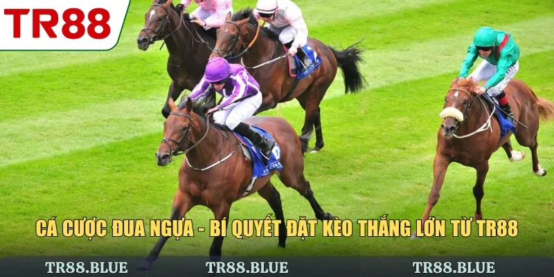 Cá Cược Đua Ngựa - Bí Quyết Đặt Kèo Thắng Lớn Từ TR88