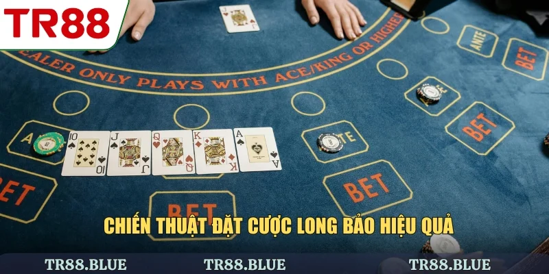 Chiến thuật đặt cược long bảo hiệu quả