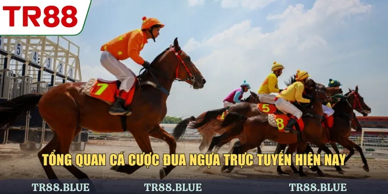 Tổng quan cá cược đua ngựa trực tuyến hiện nay